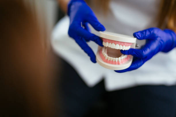Why Choose Us for Your Dental Needs in Clermont, FL